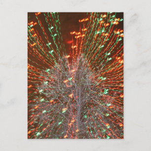 Live Oak Florida Tree Christmas Lights Zoom Holiday Postcard