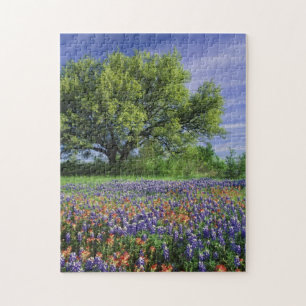 Live Oak & Texas Paintbrush, and Texas Jigsaw Puzzle
