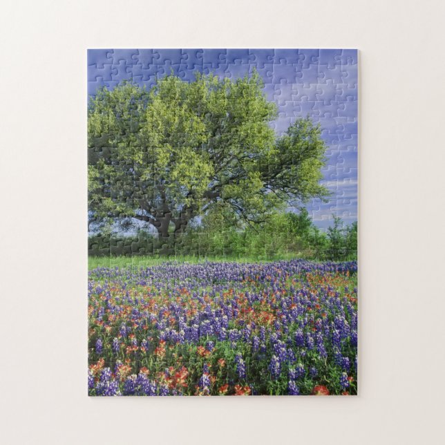 Live Oak & Texas Paintbrush, and Texas Jigsaw Puzzle (Vertical)