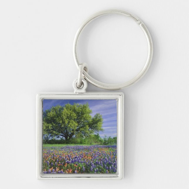 Live Oak & Texas Paintbrush, and Texas Key Ring (Front)