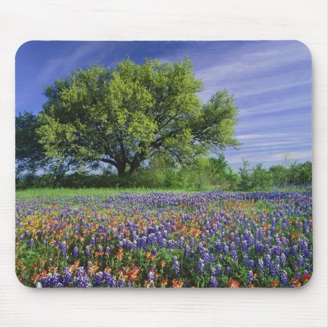 Live Oak & Texas Paintbrush, and Texas Mouse Pad (Front)