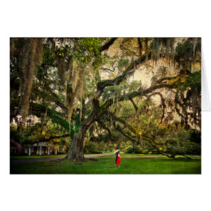 Live Oak Tree in Pascagoula MS