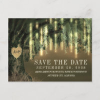 Live Oak Tree Spanish Moss Save The Date Cards