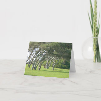 Live Oak Trees Card