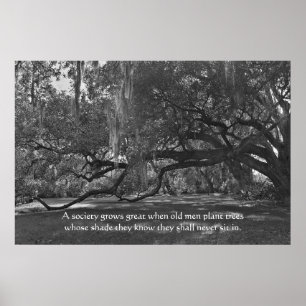 Live Oak Trees Proverb Poster Print