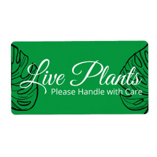 Live Plants Please Handle With Care Monstera