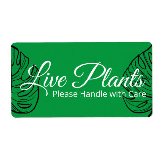 Live Plants Please Handle With Care Monstera