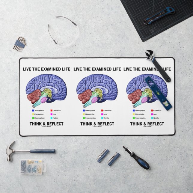 Live The Examined Life Think & Reflect Advice Desk Mat (Workstation)