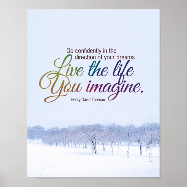 Live The Life You Imagine Motivational Quote Poster (Front)