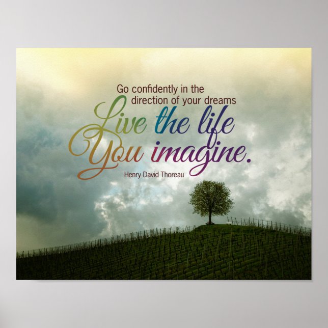 Live The Life You Imagine Motivational Quote Poster (Front)
