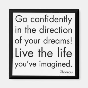 "Live The Life You've Imagined" Magnet