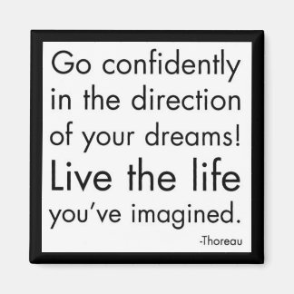 "Live The Life You've Imagined" Magnet