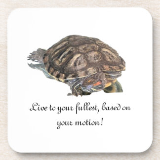 Live to your..., coaster