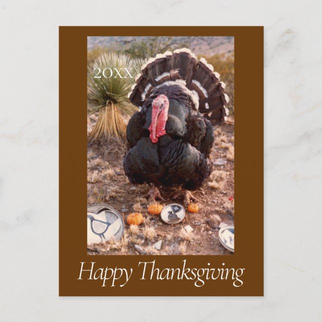 Live Turkey Pet Photo Thanksgiving  Postcard Year (Front)