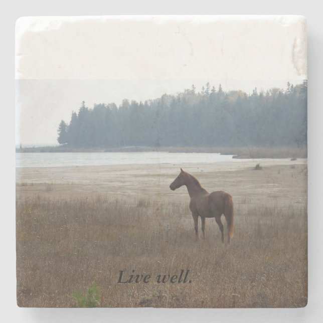 "Live Well" Morgan horse Stone Coaster (Front)