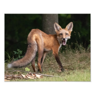 Live With Spirit Photo Print