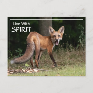Live With Spirit Postcard