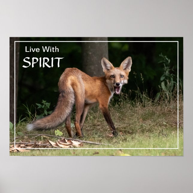 Live With Spirit  Poster (Front)