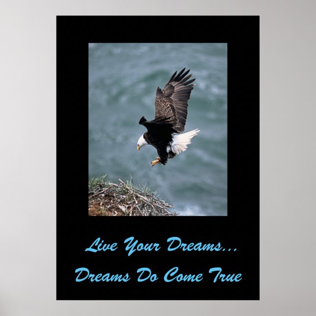 Live Your Dreams Poster (Front)