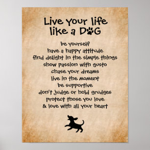 Live Your Life... Dog Qualities Poster