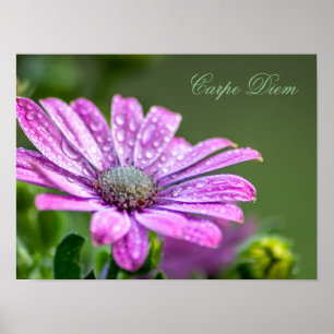 Live your life in harmony with nature! poster