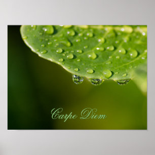 Live your life in harmony with nature! poster