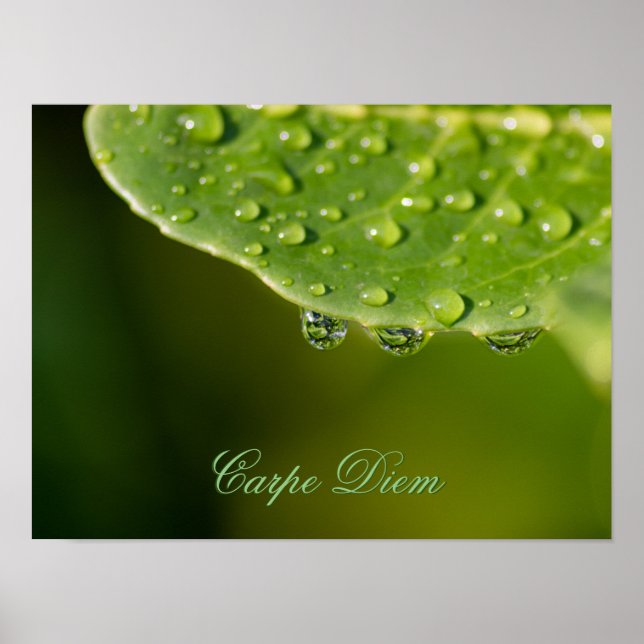 Live your life in harmony with nature! poster (Front)