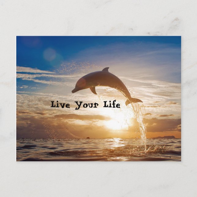 Live Your Life Motivation Postcard (Front)