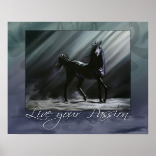 Live your Passion Poster