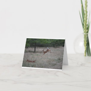 Lively Deer Notecard