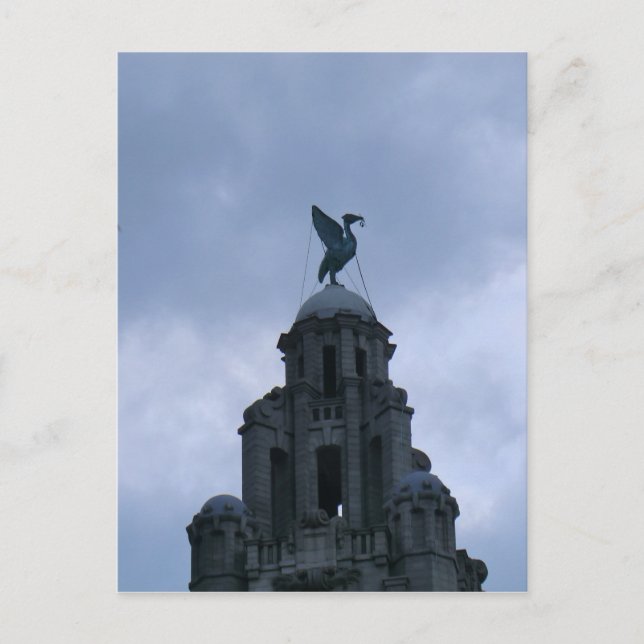 Liver Bird in Liverpool Postcard (Front)