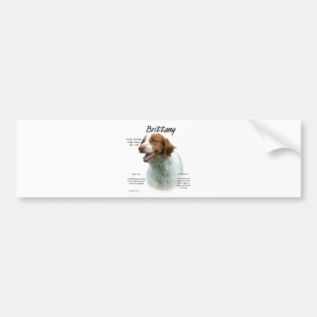 Liver Brittany Spaniel History Bumper Sticker (Front)