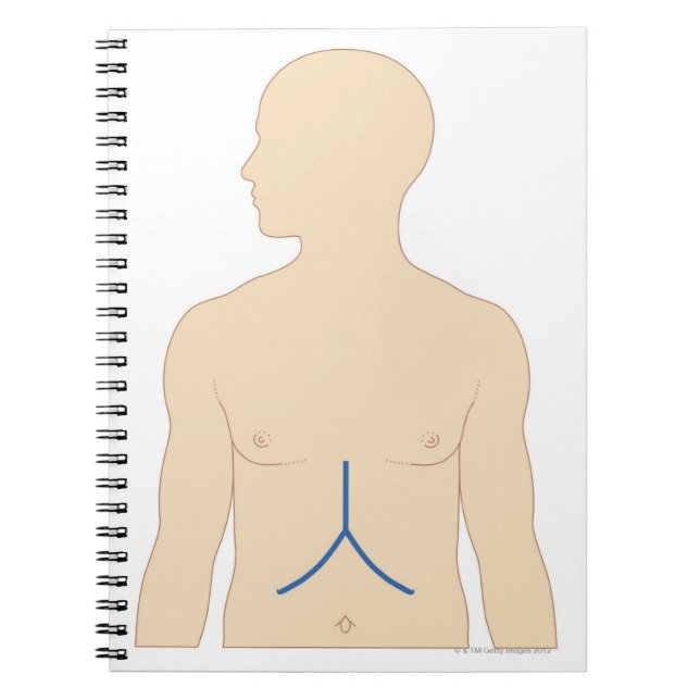 Liver Transplant Notebook (Front)