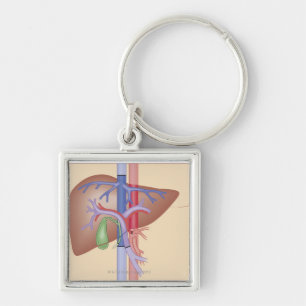 Liver Transplant Procedure Key Ring