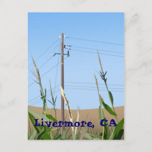 Livermore Postcard