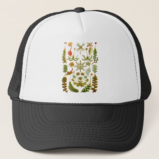 Liverworts Trucker Hat (Front)