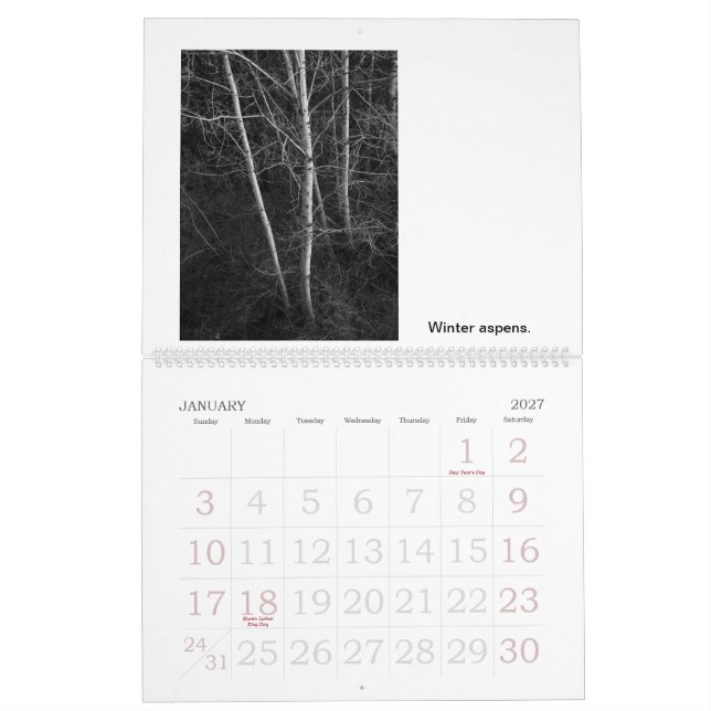Lives and Deaths of Trees Calendar (Jan 2027)