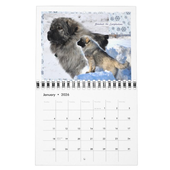 Livestock Guardian Dogs 2015 small Calendar (Jan 2026)