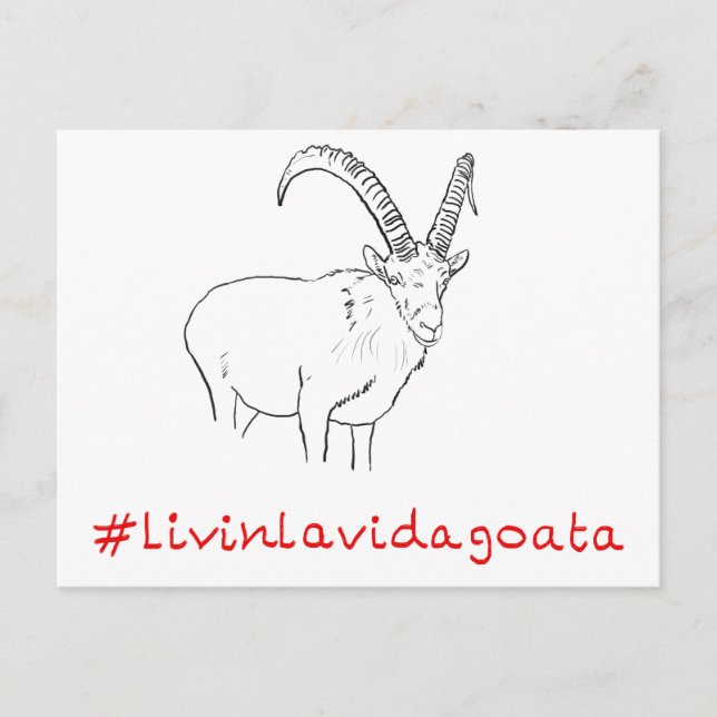 Livin La Vida Goata Funny Goat Art slogan Design Postcard (Front)