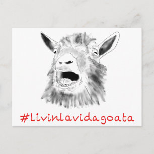 Livin La Vida Goata Funny Screaming Goat Drawing Postcard