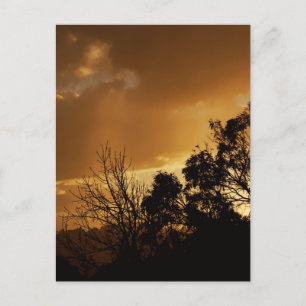 Living Art Views Postcard