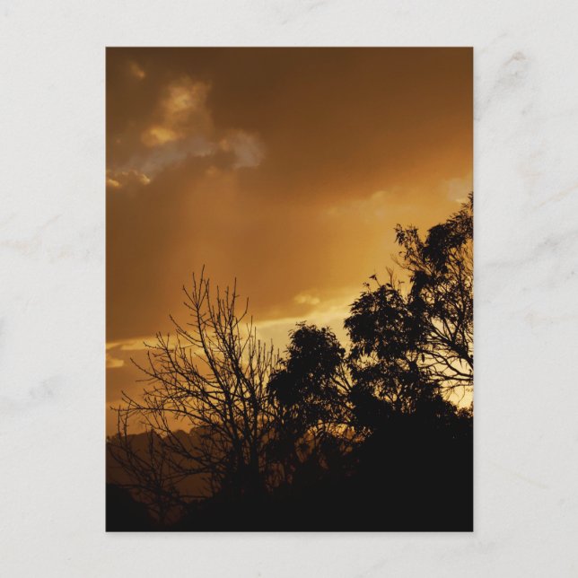 Living Art Views Postcard (Front)