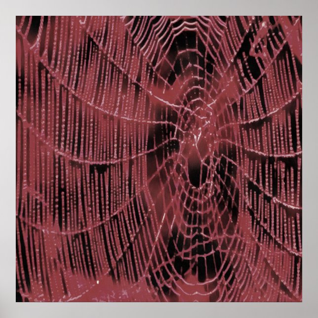 Lıving Coral Web Poster (Front)