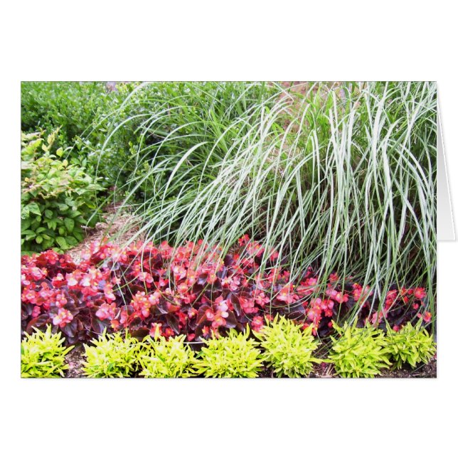 Living Flowers Blank Card (Front Horizontal)