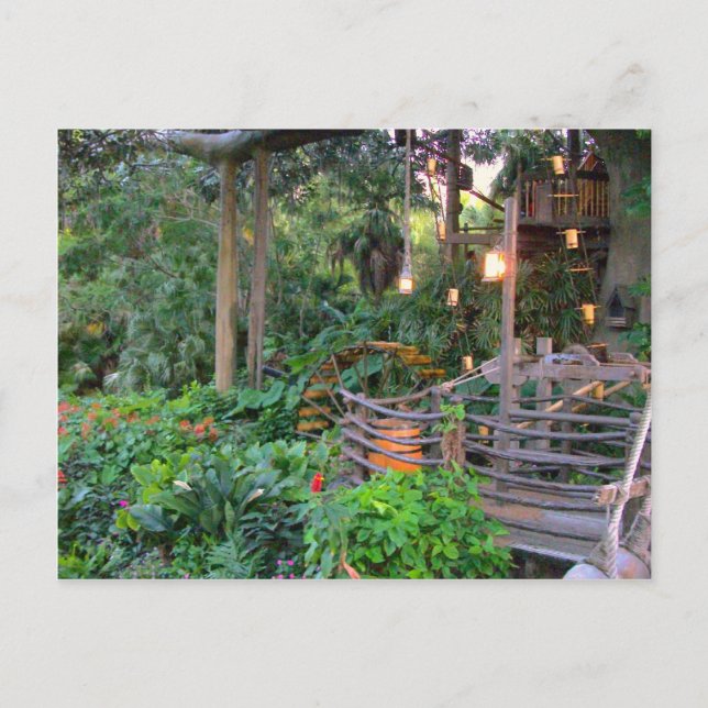 Living in the Trees Postcard (Front)