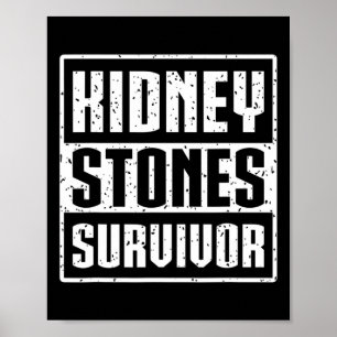Living Kidney Transplant Patient - Kidney Stones S Poster