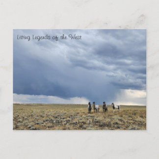 Living Legend of the West - Postcard