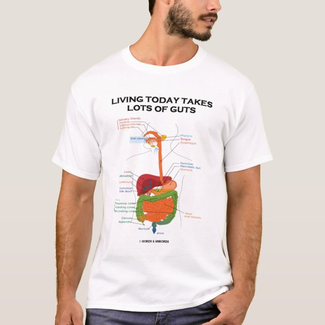 Living Today Takes Lots Of Guts (Digestive System) T-Shirt (Front)