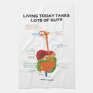 Living Today Takes Lots Of Guts Digestive System Tea Towel