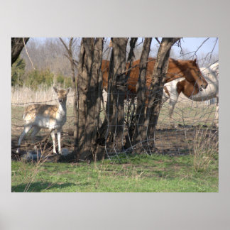 Living together Poster